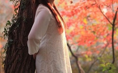 黄光裕进去的根本原因